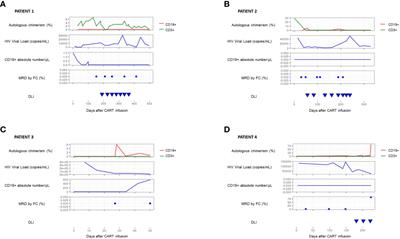 CD19+ lineage chimerism, an early biomarker after anti-CD19 CAR-T cell therapy in patients previously receiving a hematopoietic stem cell transplantation